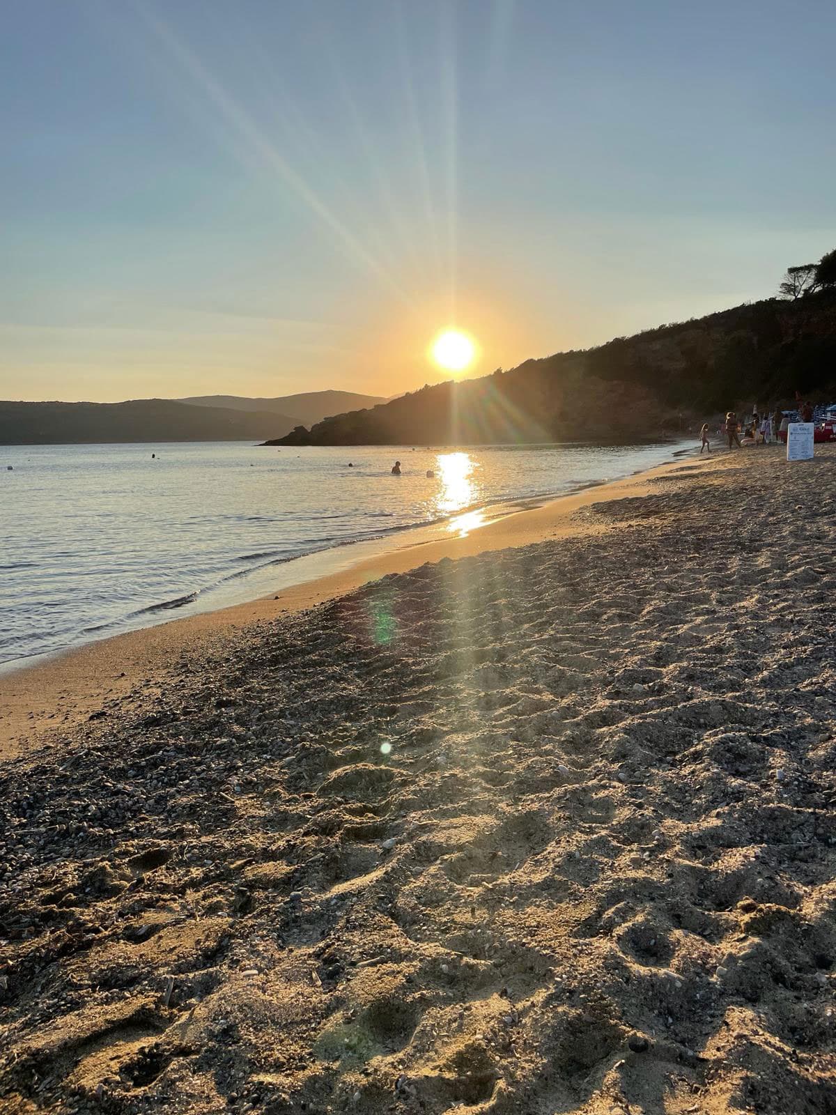 The beach in pictures 7
