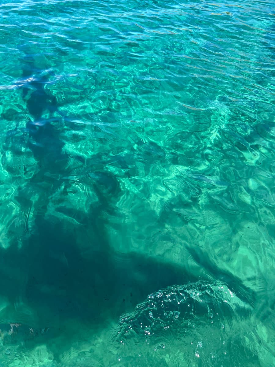 The beach in pictures 9