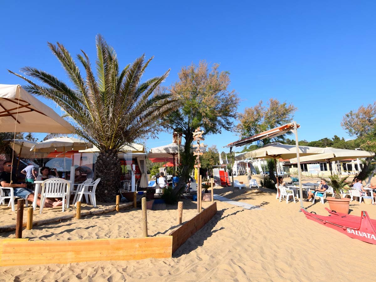 Beach Establishment